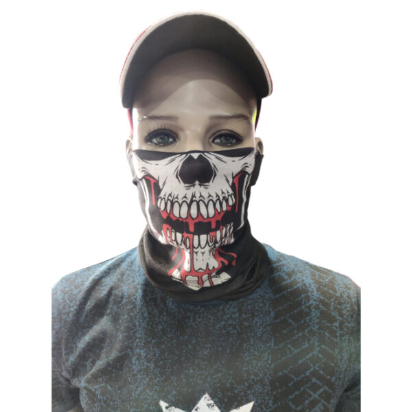 Neck Gaiter/ Face Tube/ Bandana Style 17