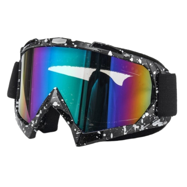 Printed Goggles Black with Rainbow Visor