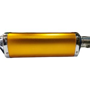 Exhaust Sports Triangular Gold and Chrome