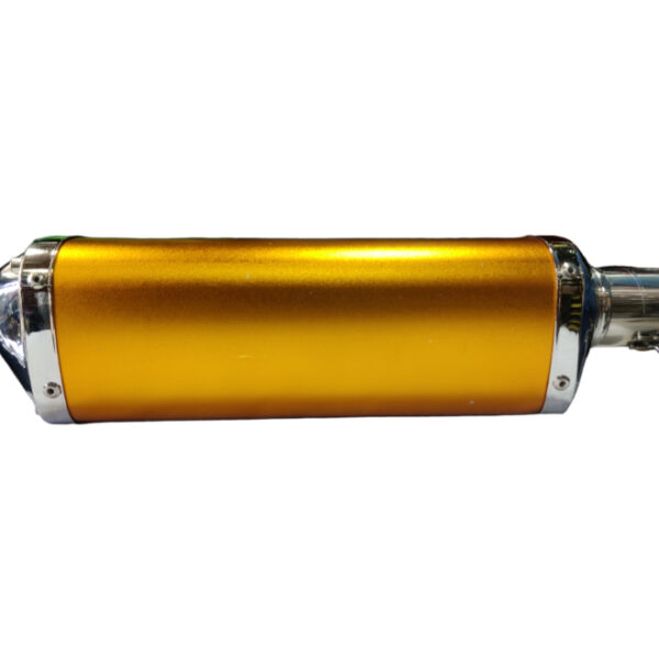 Exhaust Sports Triangular Gold and Chrome