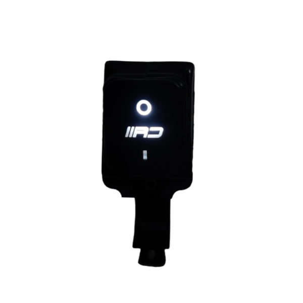 Race Dynamic The Switch