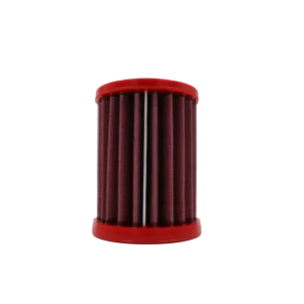 BMC Air filter for TRIUMPH SPEED 400 & SCRAMBLER 400 (FM01209)