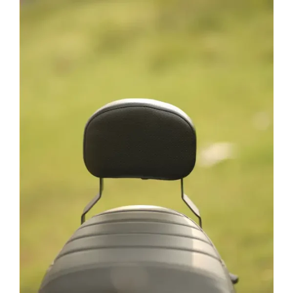 Moto Torque -Triumph Speed Backrest