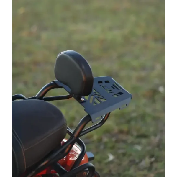 Moto Torque TVS RONIN - BACK CARRIER