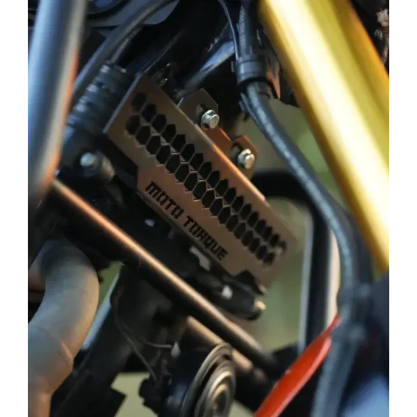 Moto Torque TVS RONIN - RADIATOR GUARD