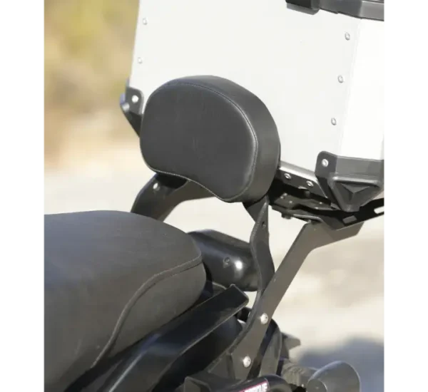 Moto Torque Back Rest for Harley X440