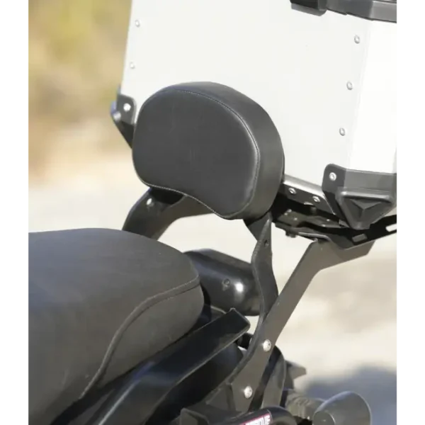 Moto Torque Back Rest for Harley X440